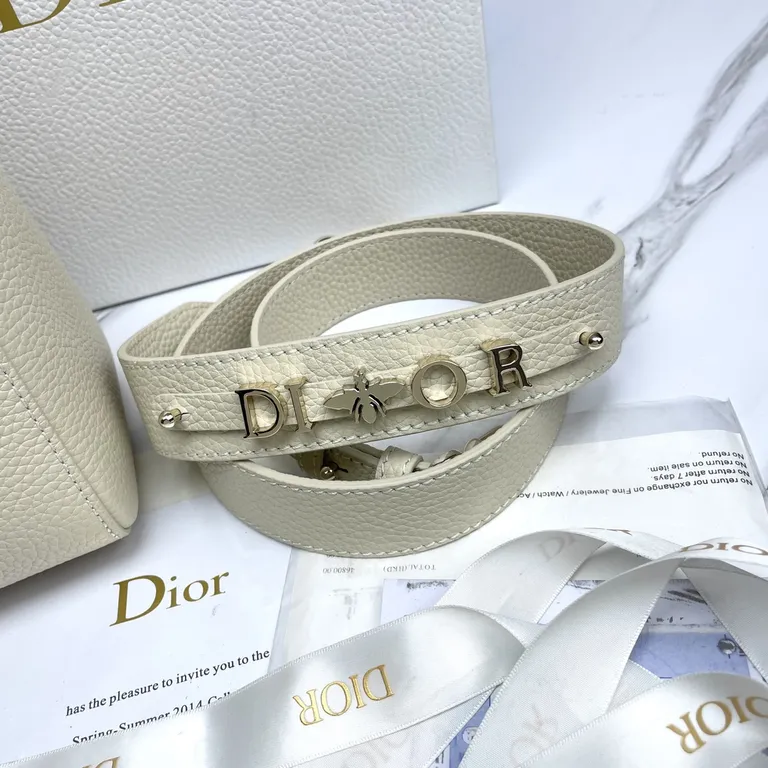 Dior Bag 